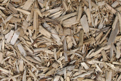 biomass boilers Tapnage